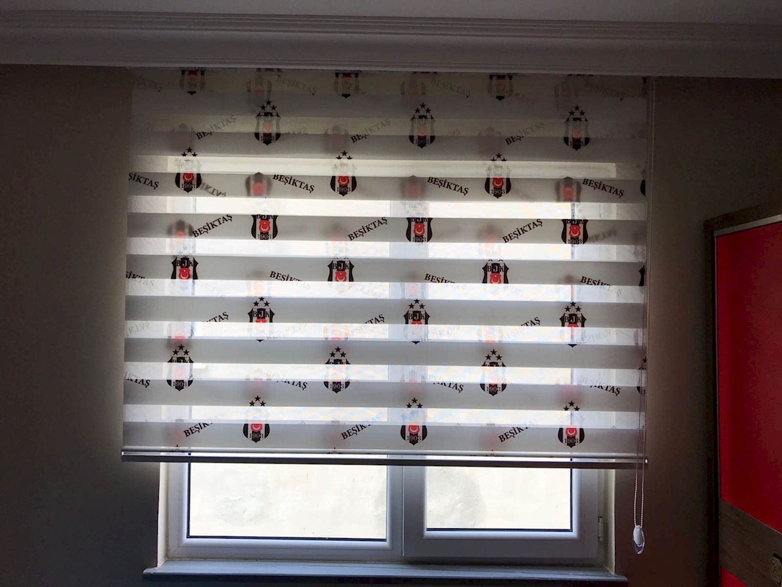 Baskılı Zebra Perde